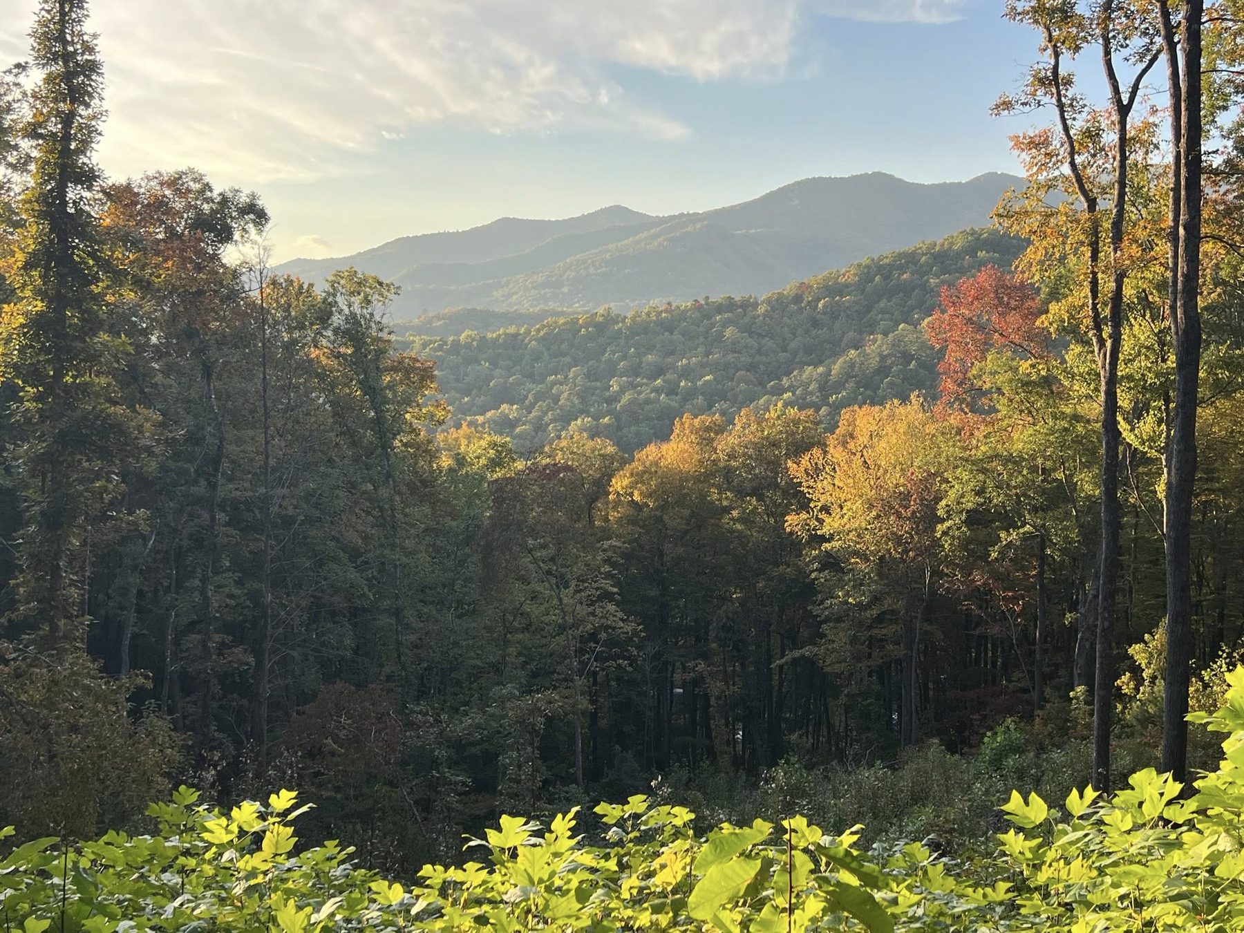 Mountain landscape