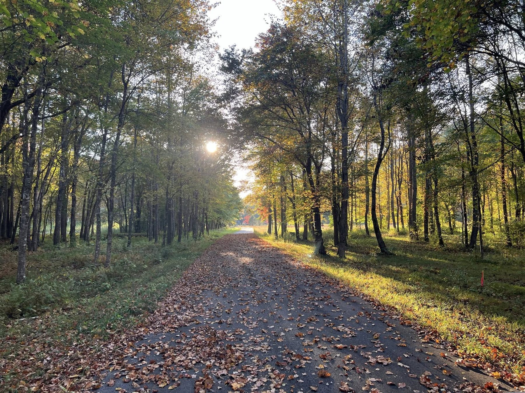 Lot 9 - Tucked Along the Creek